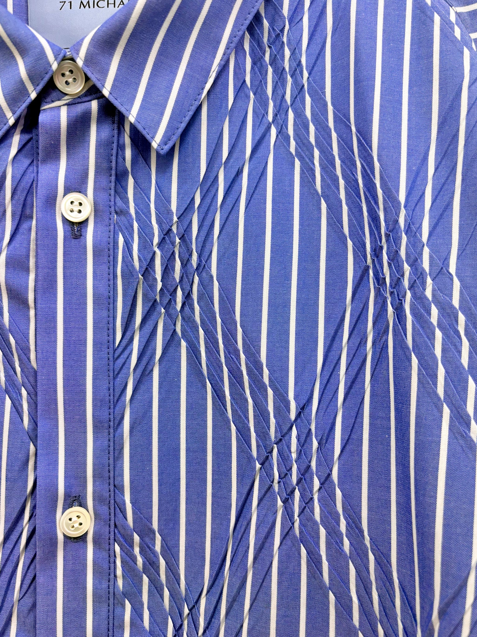 Long-sleeved shirt with double pleats <br />[BLUE STRIPE]